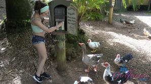 ATK Aunt Judys  in Virtual vacation