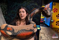 ATK Girlfriends Lily Winters Set