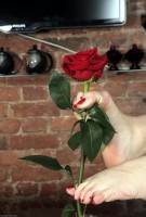 ATK hairy Evelyne Set