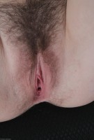 ATK hairy Evelyne Set