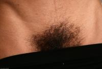ATK hairy Liz Set