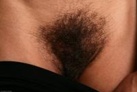 ATK hairy Liz Set