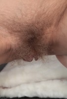 ATK hairy Loredana Set