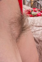 ATK hairy Loredana Set