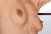 ATK hairy Loredana Set