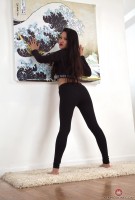 ATK hairy Louisa K Set