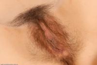 ATK hairy Lucie Set