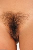 ATK hairy Lucky Starr Set