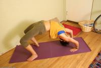 ATK hairy Luce in scary hairy