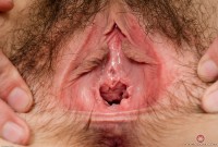 ATK hairy Luci Lovett Set