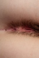 ATK hairy Luci Lovett Set