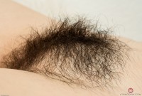 ATK hairy Luci Lovett Set