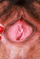 ATK hairy Lucy Sunflower Set