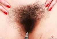 ATK hairy Lucy Sunflower Set