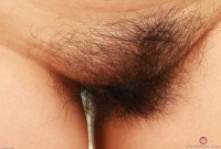 ATK hairy  in exotic and hairy