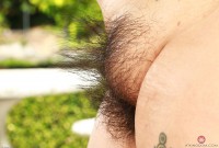 ATK hairy  in exotic and hairy