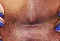 ATK hairy Lulu Sparkle in exotic and hairy