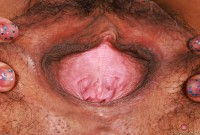 ATK hairy Lulu Sparkle Set