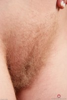 ATK hairy  in scary hairy