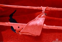 ATK hairy  in hairy fun