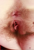 ATK hairy Lux Lives Set