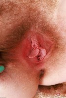 ATK hairy Lux Lives Set