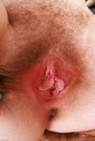 ATK hairy Lux Lives Set