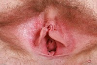 ATK hairy Lux Lives Set