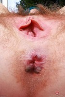 ATK hairy Lux Lives Set