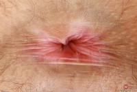 ATK hairy Lyra Lockhart Set