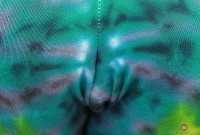 ATK hairy  in young and hairy