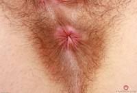 ATK hairy Lyra Lockhart Set