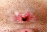 ATK hairy Lyra Lockhart Set