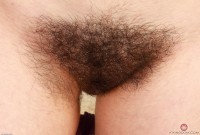 ATK hairy Lyra Lockhart Set