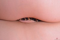 ATK hairy  in young and hairy