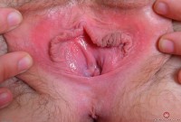 ATK hairy Maci May Set