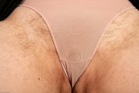 ATK hairy Magnolia in mature and hairy