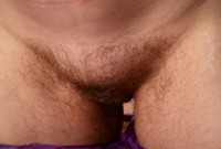 ATK hairy Magnolia Set