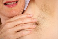 ATK hairy Magnolia Set