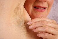 ATK hairy Magnolia Set