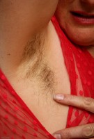 ATK hairy Magnolia in mature and hairy
