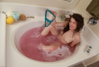 ATK hairy Mahonia Set