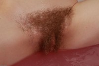 ATK hairy Mahonia in scary hairy