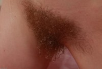 ATK hairy Mahonia in scary hairy