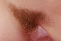 ATK hairy Mahonia Set