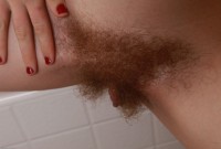 ATK hairy Mahonia Set