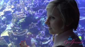 ATK Aunt Judys  in Virtual vacation