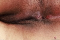 ATK hairy  in exotic and hairy