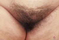 ATK hairy  in exotic and hairy