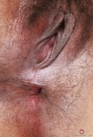 ATK hairy Manila Bey Set